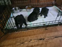 processed/623ff407-735d-47a9-a229-9e85262a9c0d/facility/3923cfcf-3d36-42cf-94ca-4d6e139ae59c