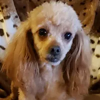 processed/623ff407-735d-47a9-a229-9e85262a9c0d/facility/baedb7ff-4967-4520-954a-0bff17094d64