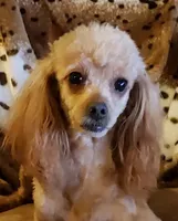 processed/623ff407-735d-47a9-a229-9e85262a9c0d/facility/baedb7ff-4967-4520-954a-0bff17094d64