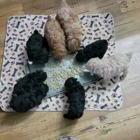 processed/623ff407-735d-47a9-a229-9e85262a9c0d/facility/d65fa981-486c-49f6-b24b-b938b201ca1b