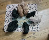 processed/623ff407-735d-47a9-a229-9e85262a9c0d/facility/d65fa981-486c-49f6-b24b-b938b201ca1b