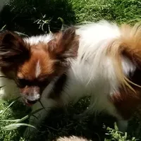 processed/623ff407-735d-47a9-a229-9e85262a9c0d/facility/f1f4a86e-4f99-4314-9d2f-103ad4c81554