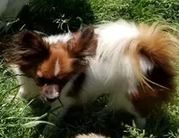 processed/623ff407-735d-47a9-a229-9e85262a9c0d/facility/f1f4a86e-4f99-4314-9d2f-103ad4c81554