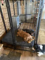 processed/62472989-75da-4ed1-88b4-dfcd4885eabd/facility/3b14363d-1675-452d-a28a-c4e1a1d6a75d