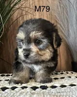 processed/62472989-75da-4ed1-88b4-dfcd4885eabd/listing/0ed5569e-590c-4a31-b626-33f9b194a6d0/1f70739b-034a-4091-8b23-cac873efba62