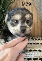 processed/62472989-75da-4ed1-88b4-dfcd4885eabd/listing/0ed5569e-590c-4a31-b626-33f9b194a6d0/2c41046a-f8d1-477c-8f1e-bf2d4b720f85