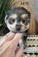 processed/62472989-75da-4ed1-88b4-dfcd4885eabd/listing/0ed5569e-590c-4a31-b626-33f9b194a6d0/500dc763-d958-4615-91a0-23740cb1abcf