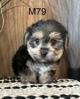 processed/62472989-75da-4ed1-88b4-dfcd4885eabd/listing/0ed5569e-590c-4a31-b626-33f9b194a6d0/5840bb93-ceae-4e82-9b90-21ef3784646a