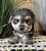 processed/62472989-75da-4ed1-88b4-dfcd4885eabd/listing/0ed5569e-590c-4a31-b626-33f9b194a6d0/72aaf28a-bfb6-4ddd-a271-b138627fc581