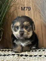 processed/62472989-75da-4ed1-88b4-dfcd4885eabd/listing/0ed5569e-590c-4a31-b626-33f9b194a6d0/ab6150f7-06ca-401d-b4dc-523c6f29734a