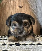 processed/62472989-75da-4ed1-88b4-dfcd4885eabd/listing/6a7b3d75-268c-4535-900c-9ecf5f97ac4a/15970dd7-0925-4ae7-88eb-ce9e74b67726