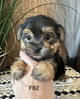 processed/62472989-75da-4ed1-88b4-dfcd4885eabd/listing/6a7b3d75-268c-4535-900c-9ecf5f97ac4a/17ec6099-3fcc-46f1-8709-8804f731ab1a