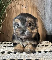 processed/62472989-75da-4ed1-88b4-dfcd4885eabd/listing/6a7b3d75-268c-4535-900c-9ecf5f97ac4a/19d76eae-4cca-4d2b-a71f-e74fae20bafb