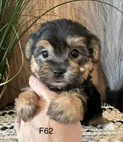 processed/62472989-75da-4ed1-88b4-dfcd4885eabd/listing/6a7b3d75-268c-4535-900c-9ecf5f97ac4a/51a2acb3-68fd-4be4-80fa-20e5589ba8b1