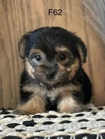 processed/62472989-75da-4ed1-88b4-dfcd4885eabd/listing/6a7b3d75-268c-4535-900c-9ecf5f97ac4a/64d55918-a57e-4306-9d0b-e305e9c8c6e9