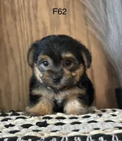 processed/62472989-75da-4ed1-88b4-dfcd4885eabd/listing/6a7b3d75-268c-4535-900c-9ecf5f97ac4a/6f234a8c-926b-4fe4-a173-bacdeaa0eb16