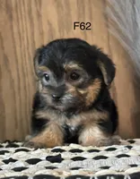 processed/62472989-75da-4ed1-88b4-dfcd4885eabd/listing/6a7b3d75-268c-4535-900c-9ecf5f97ac4a/8ec79716-b4ef-4632-8d46-1f370e213ca1