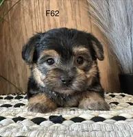 processed/62472989-75da-4ed1-88b4-dfcd4885eabd/listing/6a7b3d75-268c-4535-900c-9ecf5f97ac4a/b33d4354-59c3-4c23-9d61-3f8bad8acb64