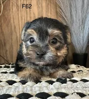 processed/62472989-75da-4ed1-88b4-dfcd4885eabd/listing/6a7b3d75-268c-4535-900c-9ecf5f97ac4a/c75e9c23-2b19-4c49-8386-b93fd45be8f6