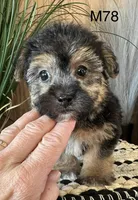 processed/62472989-75da-4ed1-88b4-dfcd4885eabd/listing/6da8e314-fef1-4002-b020-9b62df235cc8/44417f36-1c71-4397-a448-fe4b39831157