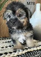 processed/62472989-75da-4ed1-88b4-dfcd4885eabd/listing/6da8e314-fef1-4002-b020-9b62df235cc8/49affee3-3189-4af2-850c-3ddea9833902