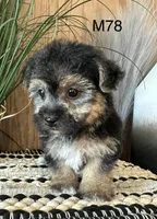 processed/62472989-75da-4ed1-88b4-dfcd4885eabd/listing/6da8e314-fef1-4002-b020-9b62df235cc8/aa33fa54-77b1-4fff-8c38-e51e79066e4b