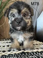 processed/62472989-75da-4ed1-88b4-dfcd4885eabd/listing/6da8e314-fef1-4002-b020-9b62df235cc8/c3a3a257-a314-439f-8587-2b7c8d97d867