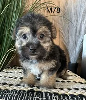 processed/62472989-75da-4ed1-88b4-dfcd4885eabd/listing/6da8e314-fef1-4002-b020-9b62df235cc8/e761b941-9cf8-4a48-8757-18720be9f4af