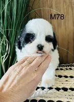 processed/62472989-75da-4ed1-88b4-dfcd4885eabd/listing/83ee7f89-7e33-42d6-95b1-949595246cf5/10ce5f5a-a5c3-4115-9786-459115570e13