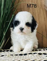 processed/62472989-75da-4ed1-88b4-dfcd4885eabd/listing/83ee7f89-7e33-42d6-95b1-949595246cf5/361e36dd-42ab-45f8-8219-6073d668a721