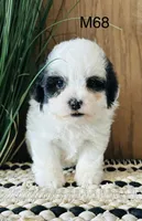 processed/62472989-75da-4ed1-88b4-dfcd4885eabd/listing/83ee7f89-7e33-42d6-95b1-949595246cf5/45a9cc97-4fc2-4607-9630-3399b62c692c