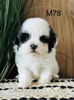 processed/62472989-75da-4ed1-88b4-dfcd4885eabd/listing/83ee7f89-7e33-42d6-95b1-949595246cf5/6682b1fd-3351-4416-890f-0fed8dbf6dc2