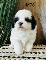 processed/62472989-75da-4ed1-88b4-dfcd4885eabd/listing/83ee7f89-7e33-42d6-95b1-949595246cf5/6e0e7aa3-2ad8-46aa-bc7c-92e44697e549