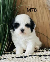 processed/62472989-75da-4ed1-88b4-dfcd4885eabd/listing/83ee7f89-7e33-42d6-95b1-949595246cf5/71716745-1bf7-4b1c-b2b1-825599d78b56