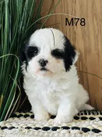 processed/62472989-75da-4ed1-88b4-dfcd4885eabd/listing/83ee7f89-7e33-42d6-95b1-949595246cf5/b9708d74-2d63-4985-9372-b5d599262626