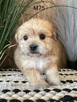 processed/62472989-75da-4ed1-88b4-dfcd4885eabd/listing/ac6f42e3-bd5b-407d-90eb-d8c2e8e3dde4/19e4e1cd-607e-4284-bdee-d2579dafc58c