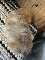 processed/62472989-75da-4ed1-88b4-dfcd4885eabd/listing/ac6f42e3-bd5b-407d-90eb-d8c2e8e3dde4/2304132d-f3e7-49dc-9f68-d595b1f1af16