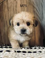 processed/62472989-75da-4ed1-88b4-dfcd4885eabd/listing/ac6f42e3-bd5b-407d-90eb-d8c2e8e3dde4/3328562a-a261-414a-9a7e-52db1e912ba5