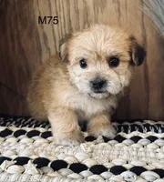 processed/62472989-75da-4ed1-88b4-dfcd4885eabd/listing/ac6f42e3-bd5b-407d-90eb-d8c2e8e3dde4/40d77d71-ca2f-4315-b837-47e9992326b4