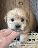 processed/62472989-75da-4ed1-88b4-dfcd4885eabd/listing/ac6f42e3-bd5b-407d-90eb-d8c2e8e3dde4/4571cfe2-9f7c-4a20-ab6f-a39631695e97