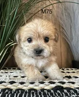 processed/62472989-75da-4ed1-88b4-dfcd4885eabd/listing/ac6f42e3-bd5b-407d-90eb-d8c2e8e3dde4/b396d5b2-8d9e-44ff-9d56-689cdb196fe8