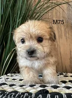 processed/62472989-75da-4ed1-88b4-dfcd4885eabd/listing/ac6f42e3-bd5b-407d-90eb-d8c2e8e3dde4/f17850d2-fe68-419d-8642-806e712c36cd