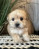 processed/62472989-75da-4ed1-88b4-dfcd4885eabd/listing/ac6f42e3-bd5b-407d-90eb-d8c2e8e3dde4/fe1d57d9-73cb-4ab5-b8c2-152021ea9753