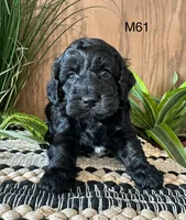 processed/62472989-75da-4ed1-88b4-dfcd4885eabd/listing/e8012fab-e9d1-48ed-81fb-138824258b9b/08849a84-6acd-496c-9285-0bc8111c0d46