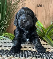 processed/62472989-75da-4ed1-88b4-dfcd4885eabd/listing/e8012fab-e9d1-48ed-81fb-138824258b9b/553a4eb9-bf87-4650-b616-8bdbc8d8649a