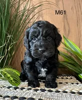 processed/62472989-75da-4ed1-88b4-dfcd4885eabd/listing/e8012fab-e9d1-48ed-81fb-138824258b9b/578e67fb-1d3c-409f-b282-2873e7d455a6