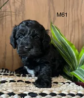 processed/62472989-75da-4ed1-88b4-dfcd4885eabd/listing/e8012fab-e9d1-48ed-81fb-138824258b9b/a55f2a5c-084b-4e9c-a145-b2c44b4f68ae