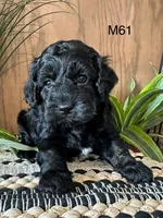 processed/62472989-75da-4ed1-88b4-dfcd4885eabd/listing/e8012fab-e9d1-48ed-81fb-138824258b9b/c055a05d-d4a7-4c91-8e79-e82d9e32f232