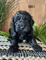 processed/62472989-75da-4ed1-88b4-dfcd4885eabd/listing/e8012fab-e9d1-48ed-81fb-138824258b9b/f566c810-9d7d-4a02-b501-7a323ad60978