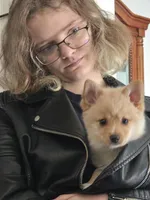 Bubbles, a female Pomsky for sale in Twin Lakes, WI – 10 of 10